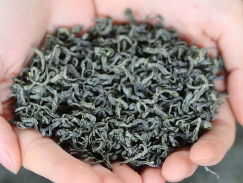 Chè Thái Nguyên hảo hạng với vị ngọt hậu vị