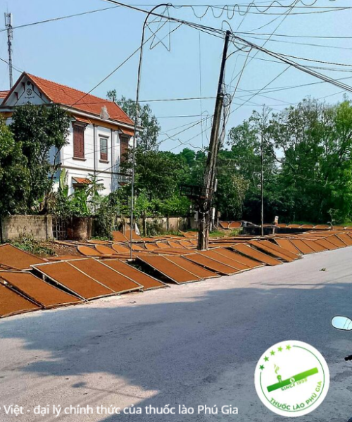 Thuốc Lào Nga Sơn Hảo Hạng L11 Phú Gia - Êm say, hậu cay nồng 12 Screenshot 2026 06 25 160528